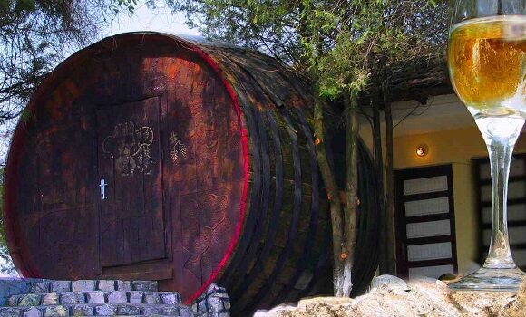 Traian Basescu s-a nascut la Murfatlar