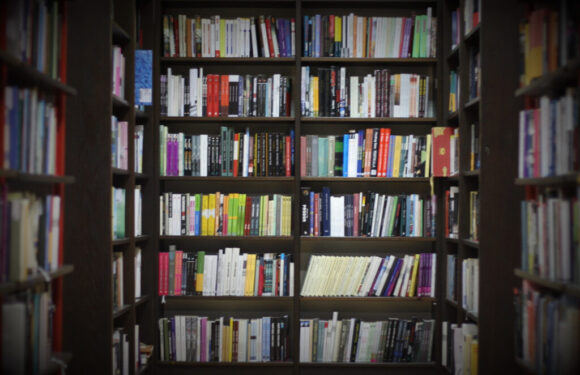 Rafturile de biblioteca, esentiale pentru organizarea cartilor