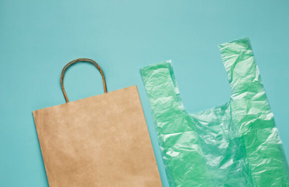 Ambalaje biodegradabile vs. cele din plastic: ce soluție este mai potrivită pentru afacerea ta?