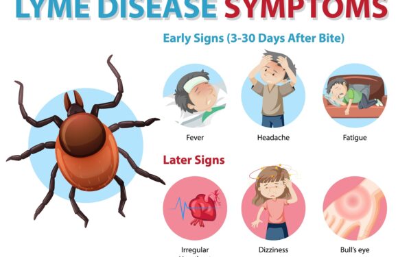 Boala Lyme: Ghidul complet pentru recunoaștere, tratament și prevenție